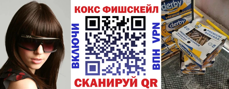 Купить закладки  Сосновоборск  COCAIN 99% 