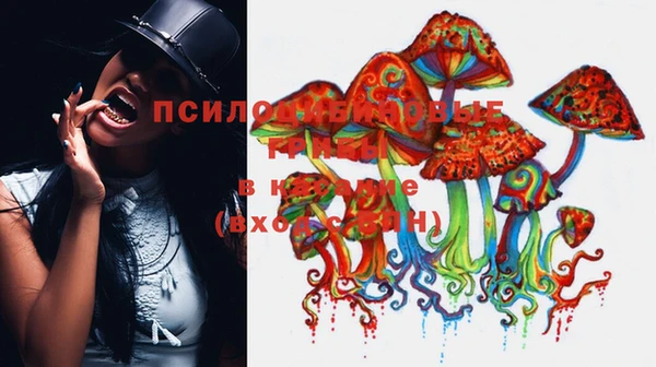 2c-b Иннополис