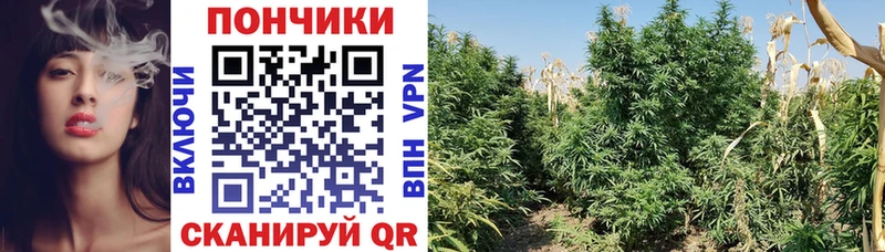 Канабис AK-47  Купить  Сосновоборск 
